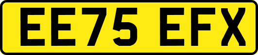 EE75EFX