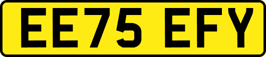 EE75EFY