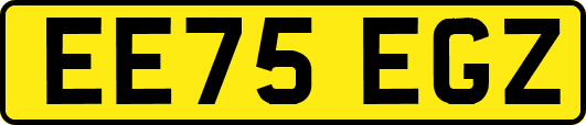 EE75EGZ