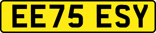EE75ESY