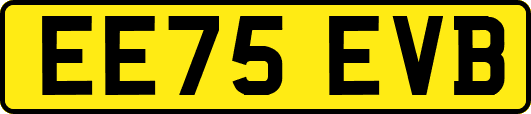 EE75EVB