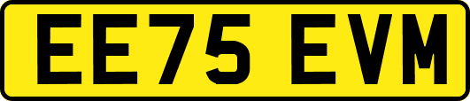 EE75EVM