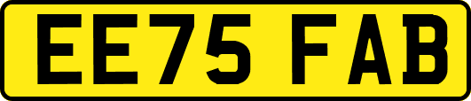 EE75FAB
