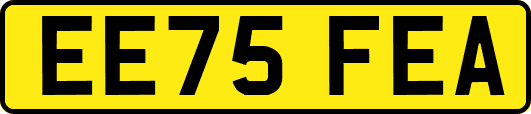 EE75FEA