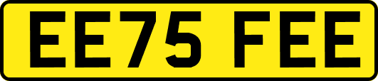 EE75FEE