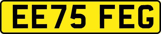 EE75FEG