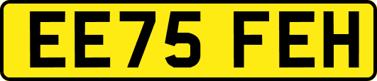 EE75FEH