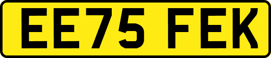 EE75FEK