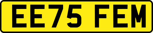 EE75FEM