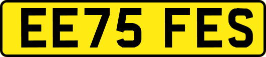 EE75FES