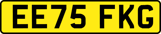 EE75FKG