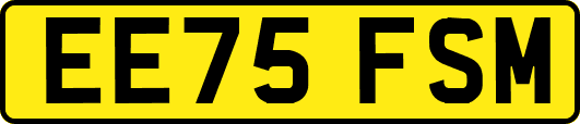 EE75FSM