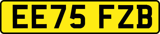 EE75FZB