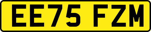 EE75FZM