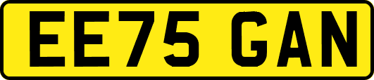 EE75GAN