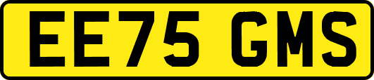 EE75GMS