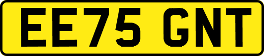 EE75GNT
