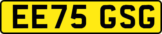 EE75GSG