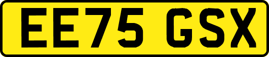 EE75GSX