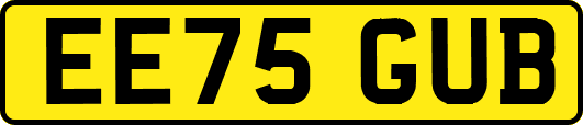 EE75GUB