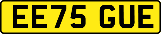EE75GUE
