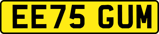 EE75GUM