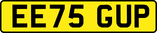 EE75GUP