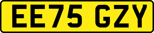 EE75GZY