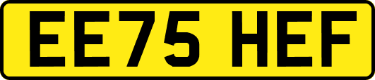 EE75HEF