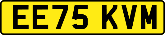 EE75KVM