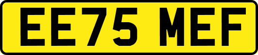 EE75MEF