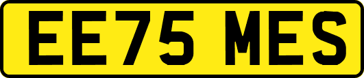 EE75MES