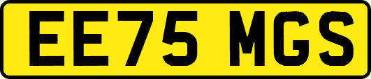 EE75MGS