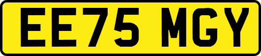 EE75MGY