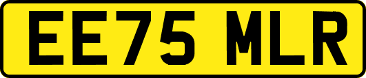 EE75MLR