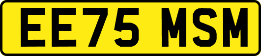 EE75MSM