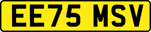EE75MSV