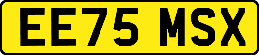 EE75MSX