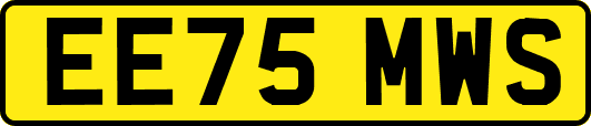 EE75MWS