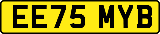 EE75MYB
