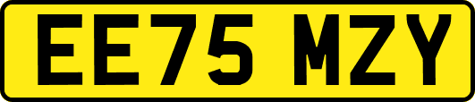EE75MZY