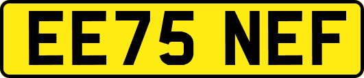 EE75NEF