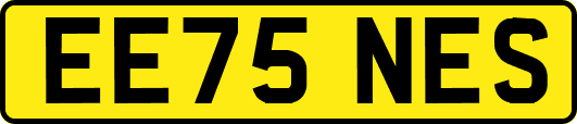 EE75NES