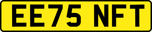 EE75NFT