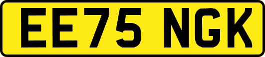 EE75NGK