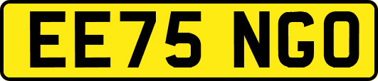 EE75NGO