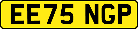 EE75NGP