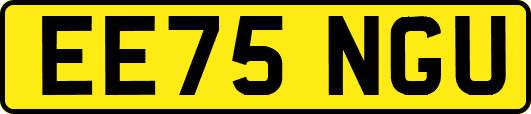 EE75NGU