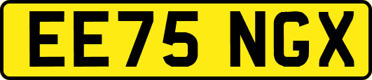 EE75NGX