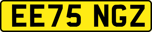EE75NGZ